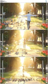 迎着阳光奔跑跳跃鸽子飞舞