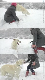 美女和自己的爱宠雪地玩雪