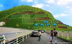 水库边坡生态绿化