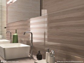 瓷砖效果图  卫生间
