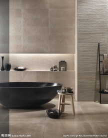 瓷砖效果图   卫生间