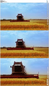 农业收割机丰收