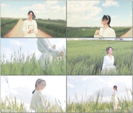 清新美女在麦田间行走嬉戏