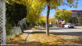 曼哈顿秋天的街道