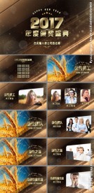 精美细腻企事业颁奖典礼PPT