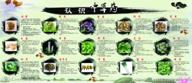 中医药展板