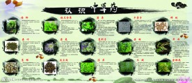 中医药展板