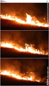 夜晚野草农作物燃烧