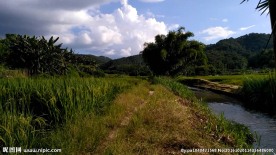 下午的田野风光 延时