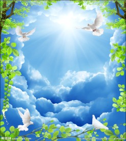 蓝天白云鸽子天顶图片