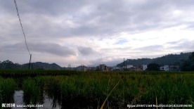 乡村田野清晨的云雾 延时摄影