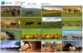 蒙古舞草原赛马蒙古舞蹈歌曲背景