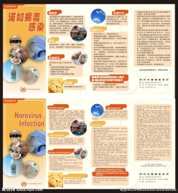 诺如病毒感染 四折页