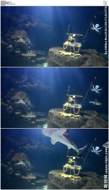 水族馆海底鲨鱼