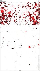 心形玫瑰花瓣飞散