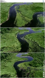 航拍河流沼泽地