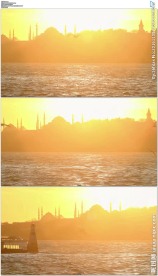 伊斯坦布尔海鸥飞行