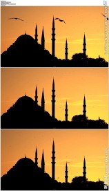 城堡飞鸟苏莱曼清真寺剪影