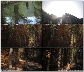 少女湖边倒影伸手接落叶