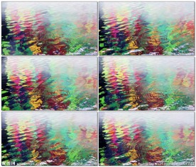 水中色彩斑斓的倒影