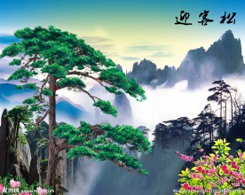 迎客松中式背景墙