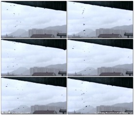 雨天屋檐下的滴水