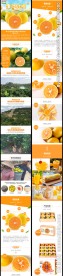廉江红橙详情页设计 橙子 橘子