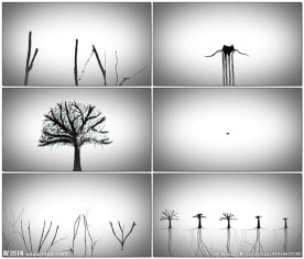 种子生长成森林水墨动画