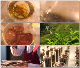 倒茶冲茶茶园茶山茶饮视频
