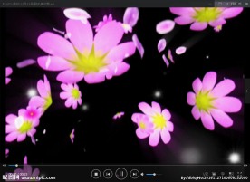 花朵 飘  LED 动态 背景