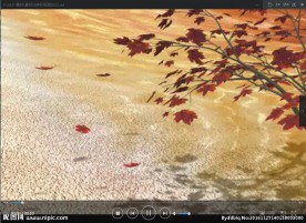 枫叶 LED 动态 背景素材