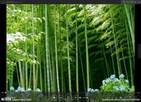 竹 LED 动态 背景素材