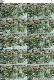 水污染环境垃圾污染