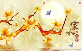 富贵玉兰背景