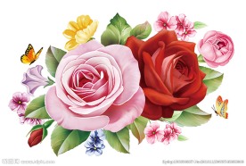 清新玫瑰 图层分层