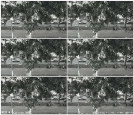 街头的黑白视频