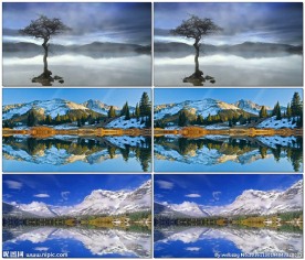 湖心大树雪山湖水美景