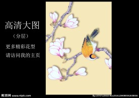 中国风花鸟手绘图案