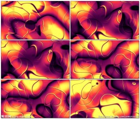 抽象的有机循环视频背景