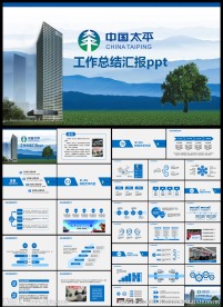 中国太平保险公司年度工作总结