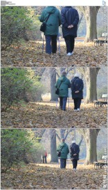 老人公园散步白头偕老