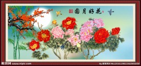 花开富贵