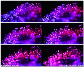 光纤光学技术数据传输