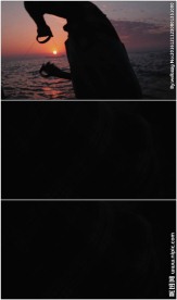 海洋黄昏捕鱼人