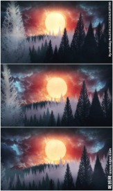 森林太阳升起动画