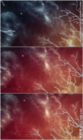 仰拍树枝启明星黎明动画