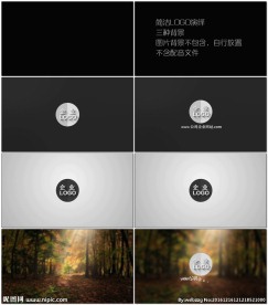 简洁LOGO演绎落版