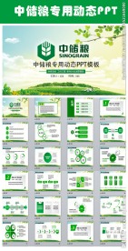 中国储备粮管理总公司动态PPT