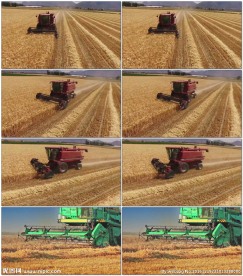 小麦收割机秋收