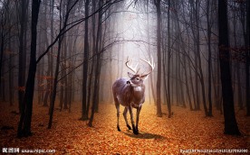 麋鹿森林背景墙